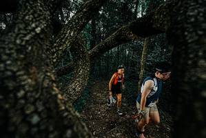 BIB: 
                            <button type="button" onclick="openModal(25687145)" class="btn btn-primary btn-sm float-right btn-popup" data-toggle="modal" data-target=".modal-high-quality">
                        <i class="fas fa-shopping-cart"></i> Add to Cart
                    </button>
                                            <button type="button" onclick="isThisMe(25687145, true)" class="btn btn-success btn-sm float-right btn-popup btn-isme hidden" data-toggle="tooltip" data-placement="bottom" title="นี่คือรูปของคุณใช่ไหม คลิกที่นี่เพื่อเอาเข้าอัลบั้ม">
                        <i class="fas fa-plus"></i> Add to album
                    </button>
                    <button type="button" onclick="isThisMe(25687145, false)" class="btn btn-warning btn-sm float-right btn-popup btn-isnotme hidden">
                        <i class="fas fa-ban"></i> Remove from album
                    </button>